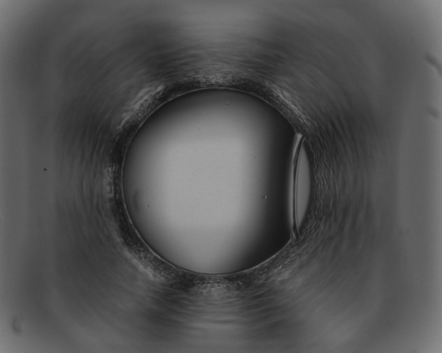 X0000091880738200709191156