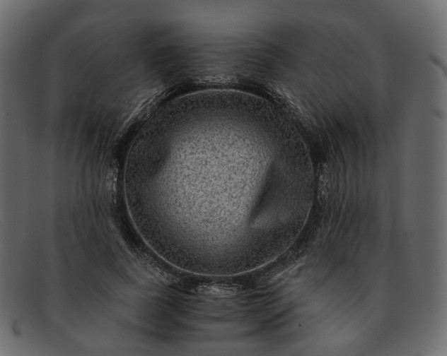 X0000091880739200709191156