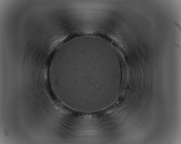 X0000091880740200709191156