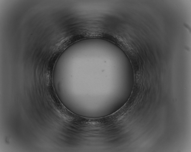 X0000091880741200709191156