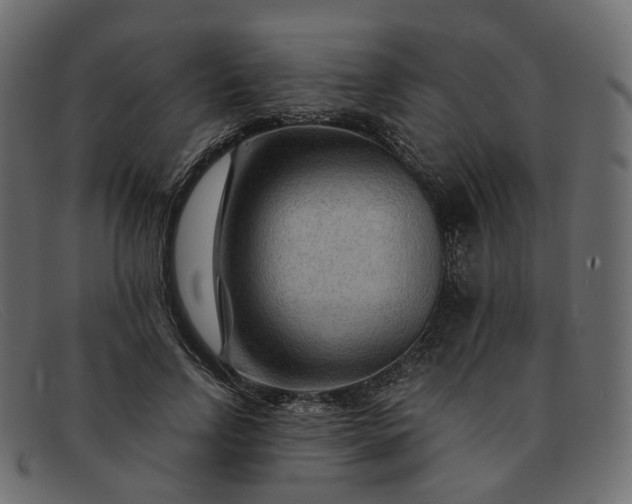 X0000091880742200709191156