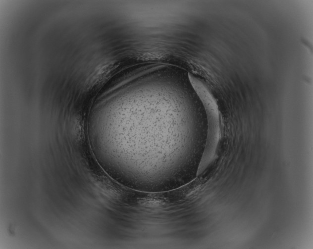 X0000091880743200709191156