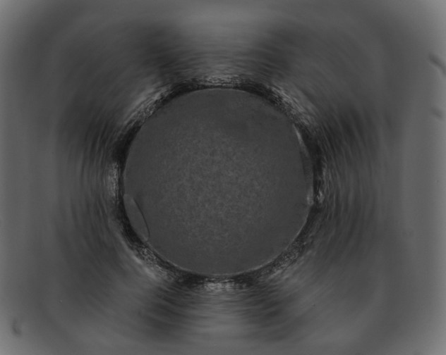 X0000091880744200709191156