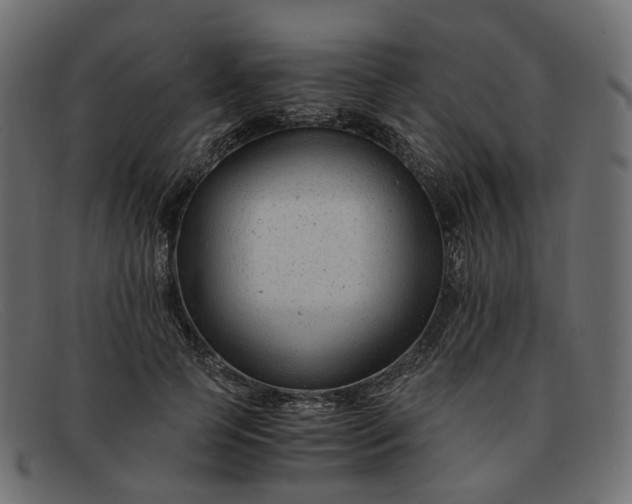 X0000091880745200709191156