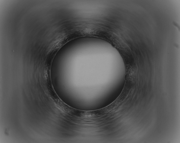 X0000091880746200709191156