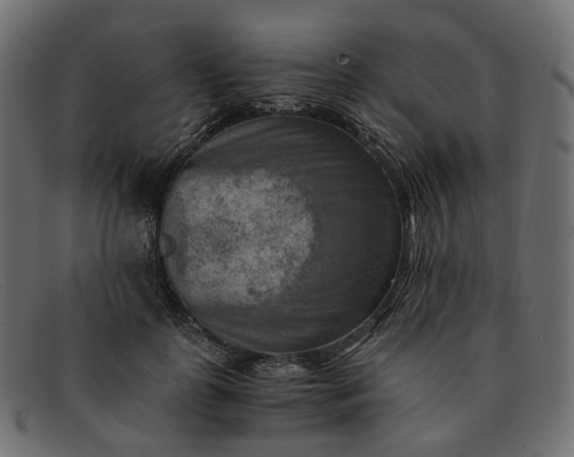 X0000091880747200709191156