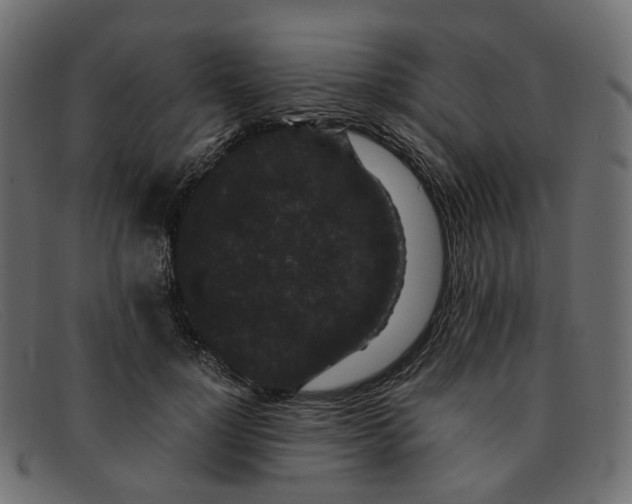 X0000091880748200709191156