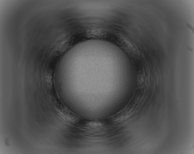 X0000091880749200709191156