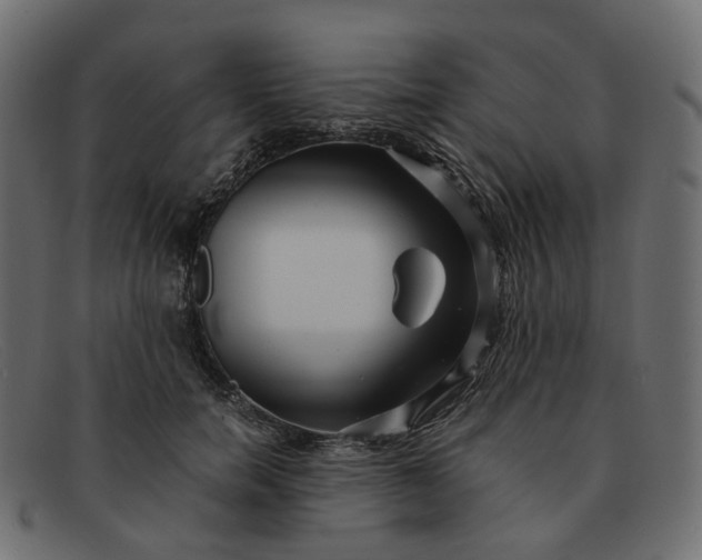 X0000091880750200709191156