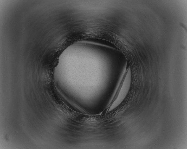 X0000091880751200709191156