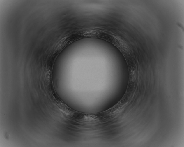 X0000091880753200709191156