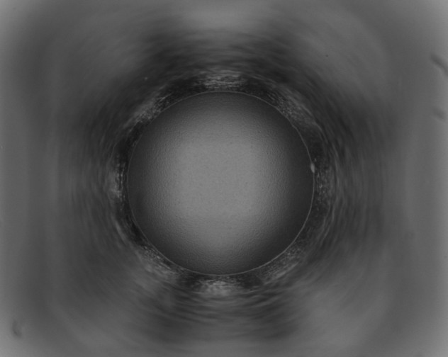 X0000091880755200709191156