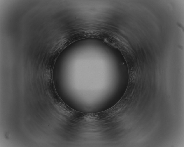 X0000091880756200709191156