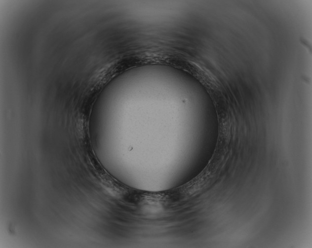 X0000091880757200709191156