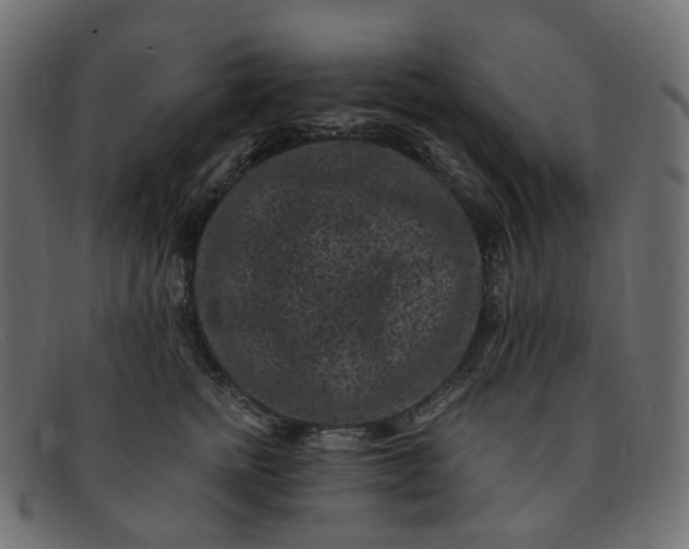 X0000091880758200709191156