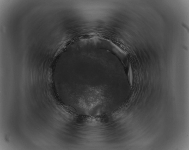 X0000091880760200709191156