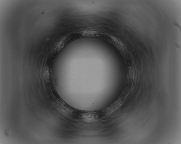 X0000091880761200709191156