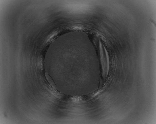 X0000091880762200709191156