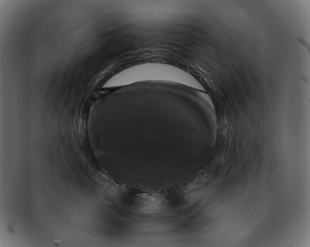 X0000091880763200709191156