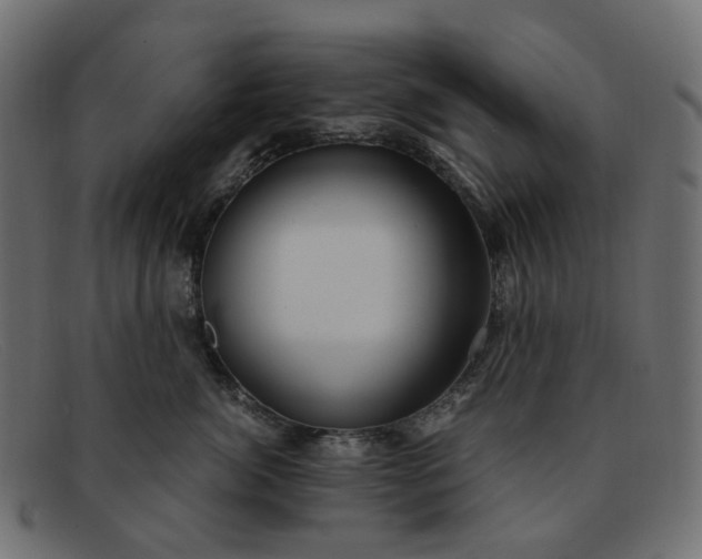 X0000091880764200709191156