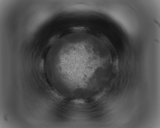 X0000091880765200709191156