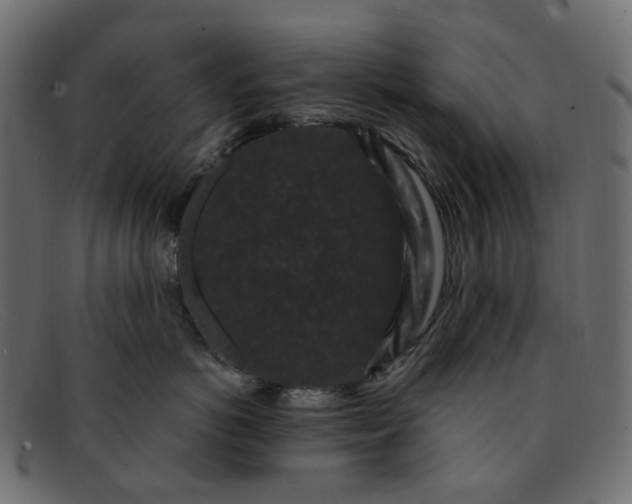 X0000091880766200709191156