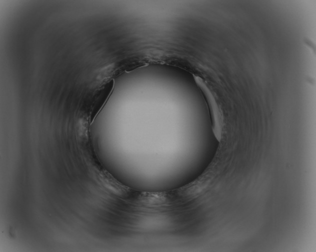 X0000091880768200709191156