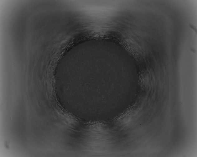 X0000091880769200709191156