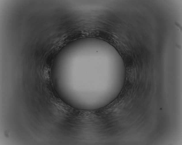 X0000091880770200709191156