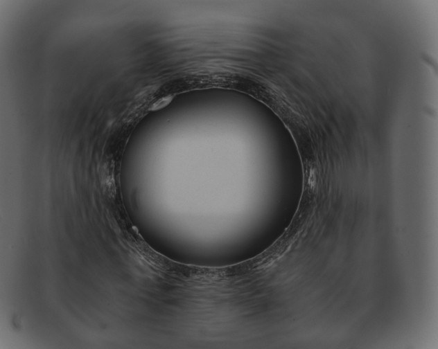 X0000091880771200709191156