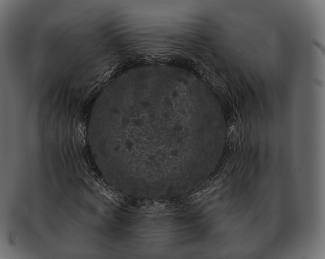 X0000091880772200709191156