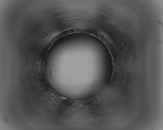 X0000091880773200709191155