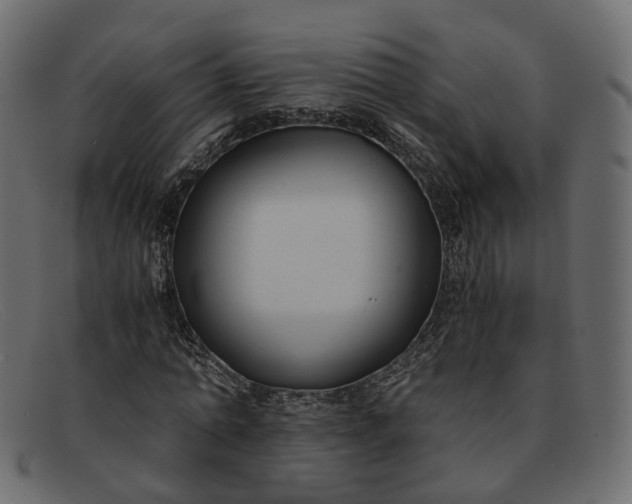 X0000091880774200709191155