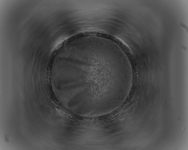 X0000091880775200709191155