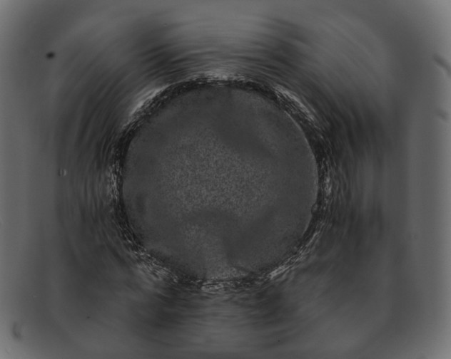 X0000091880776200709191155