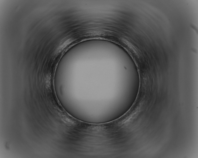 X0000091880778200709191155