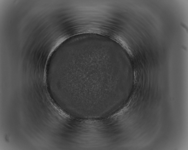 X0000091880780200709191155