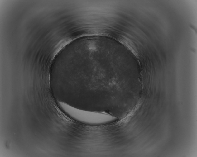 X0000091880781200709191155