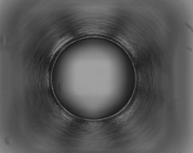 X0000091880782200709191155