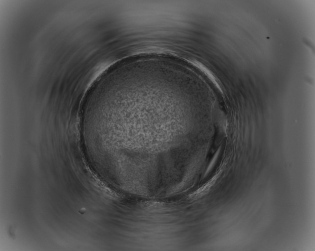 X0000091880783200709191155