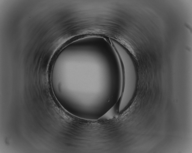 X0000091880784200709191155