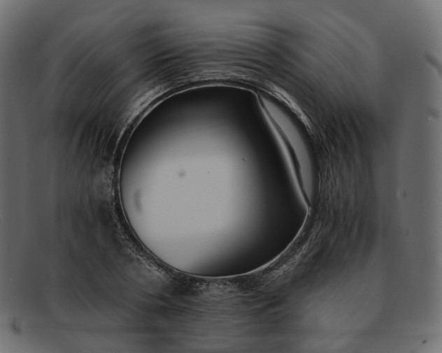 X0000091880786200709191155