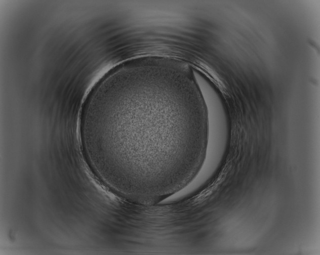 X0000091880788200709191155