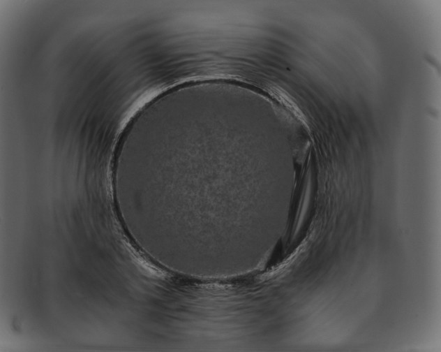 X0000091880789200709191155