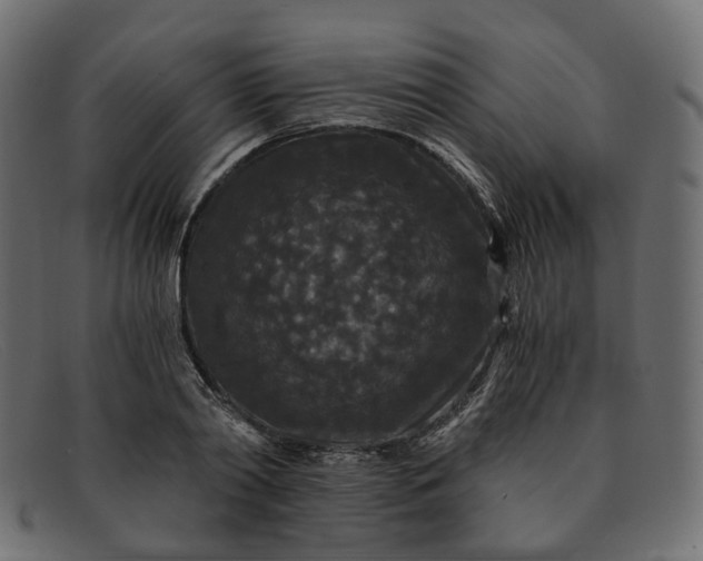 X0000091880790200709191155