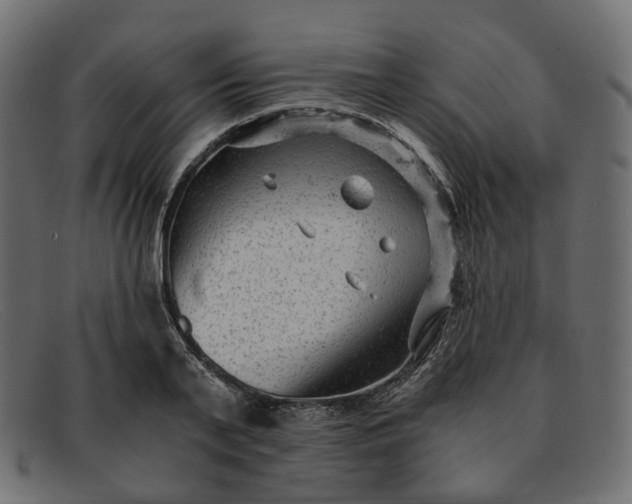 X0000091880791200709191155