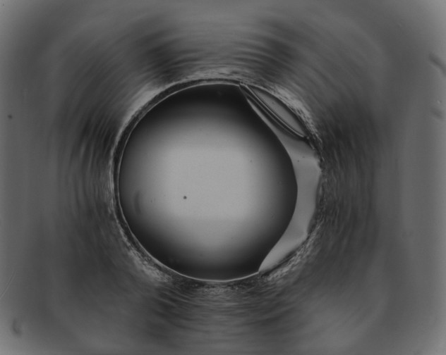 X0000091880792200709191155