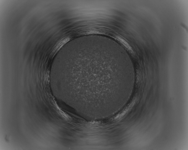 X0000091880793200709191155