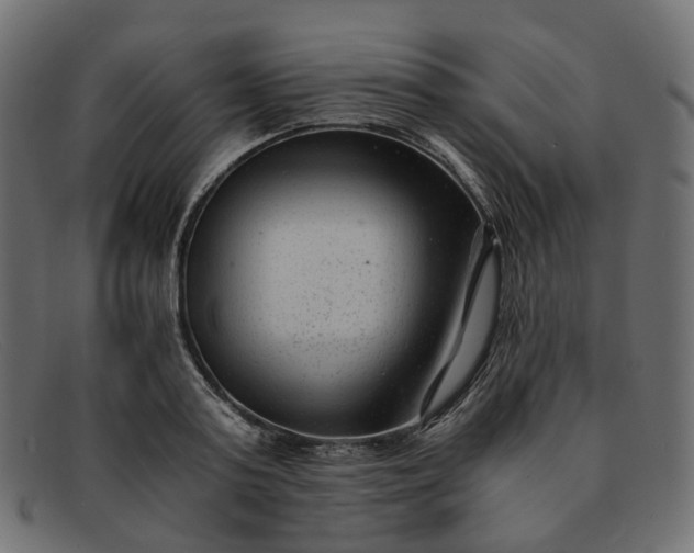 X0000091880795200709191155