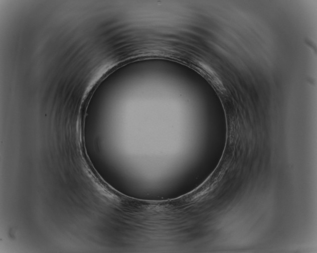 X0000091880796200709191155